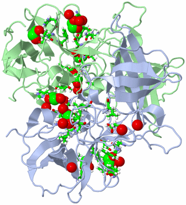 Image Asym./Biol. Unit - sites