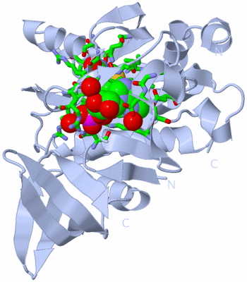 Image Biol. Unit 1 - sites