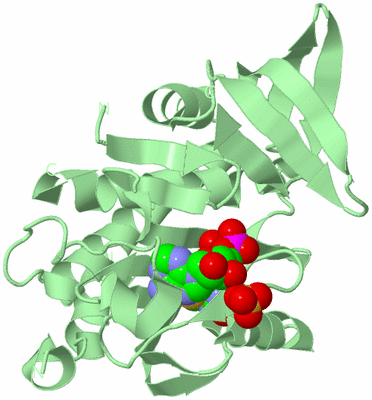 Image Biological Unit 2