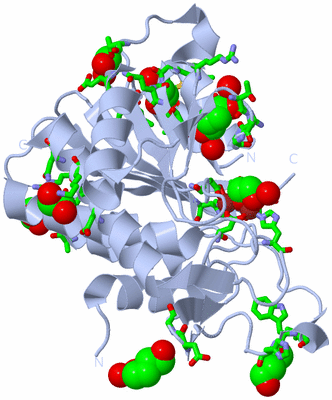 Image Biol. Unit 1 - sites