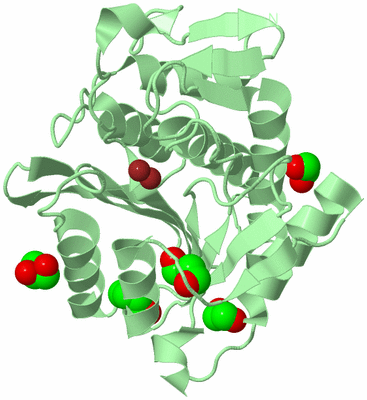 Image Biological Unit 2