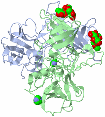 Image Asym./Biol. Unit