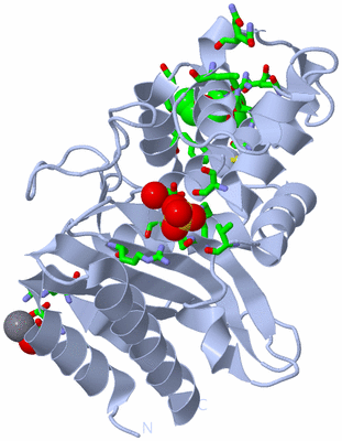 Image Biol. Unit 1 - sites