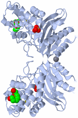 Image Biological Unit 2