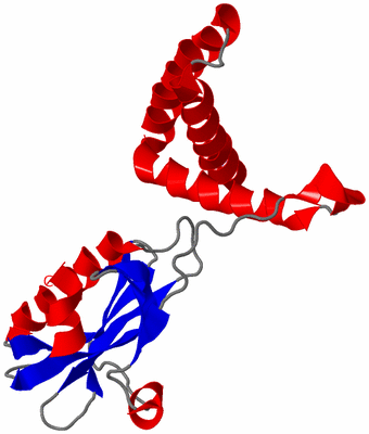 Image Asymmetric Unit