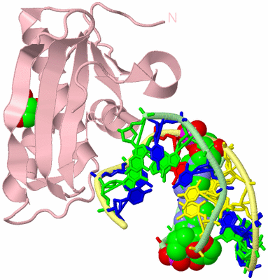 Image Biological Unit 2