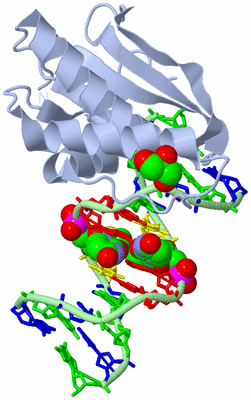 Image Biological Unit 1