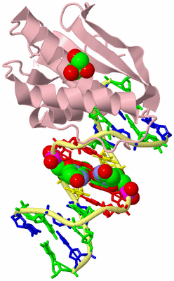 Image Biological Unit 2