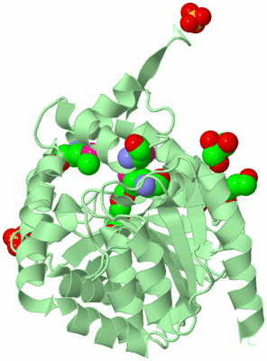 Image Biological Unit 2