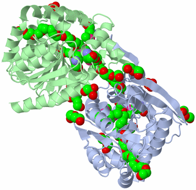 Image Biological Unit 3