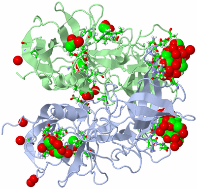 Image Asym./Biol. Unit - sites