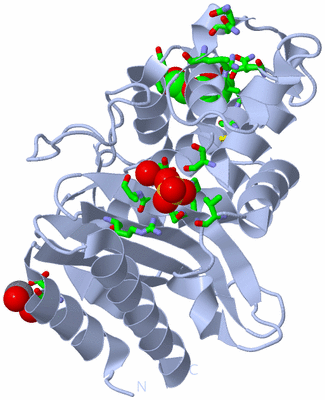 Image Biol. Unit 1 - sites