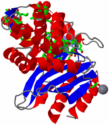 Image Asym. Unit - sites