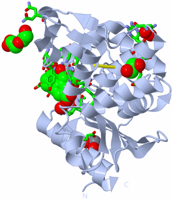 Image Biol. Unit 1 - sites