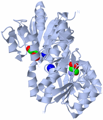 Image Biological Unit 1