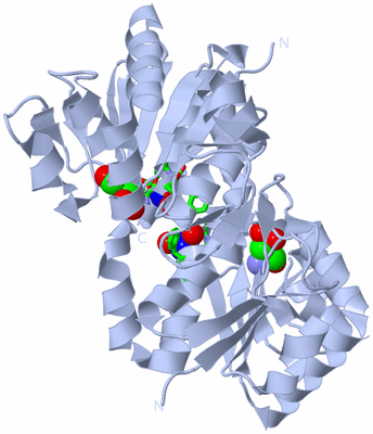 Image Biol. Unit 1 - sites