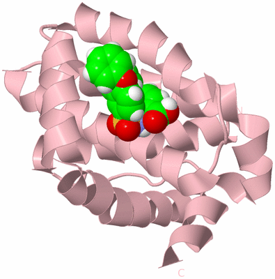 Image Biological Unit 3