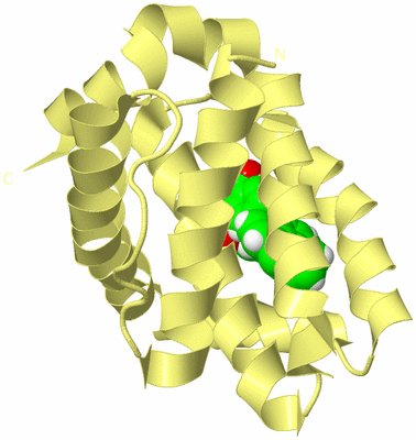 Image Biological Unit 4