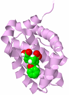 Image Biological Unit 5