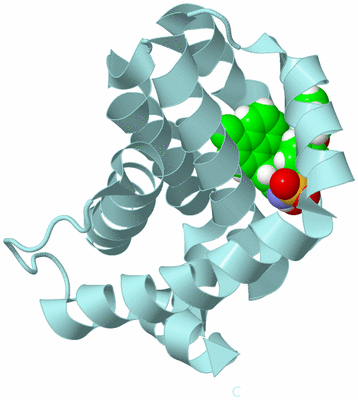 Image Biological Unit 6