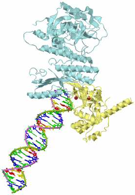 Image Biological Unit 2