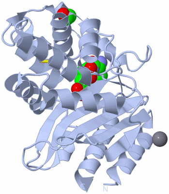 Image Biological Unit 1