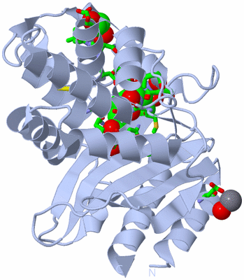 Image Biol. Unit 1 - sites