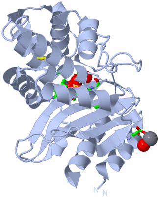 Image Biol. Unit 1 - sites