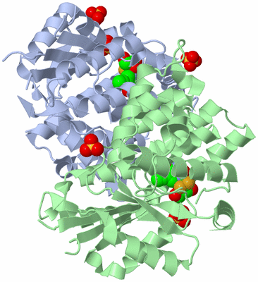 Image Asym./Biol. Unit