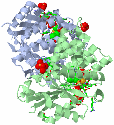 Image Asym./Biol. Unit - sites