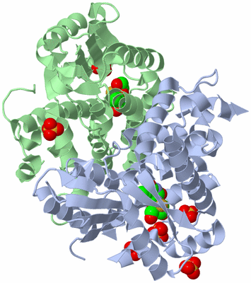 Image Asym./Biol. Unit