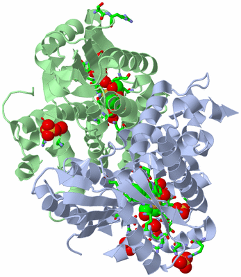 Image Asym./Biol. Unit - sites