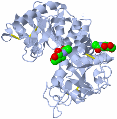 Image Biological Unit 1