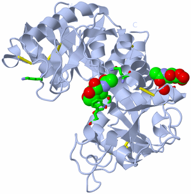 Image Biol. Unit 1 - sites