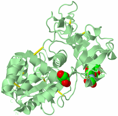 Image Biological Unit 2