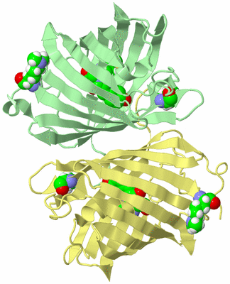 Image Biological Unit 10