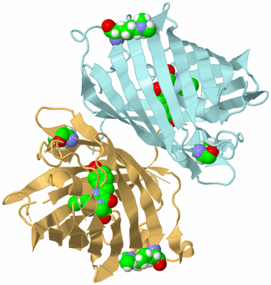 Image Biological Unit 11