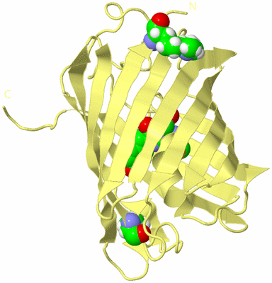 Image Biological Unit 4