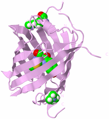 Image Biological Unit 5