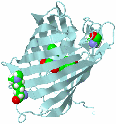 Image Biological Unit 6