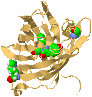 Image Biological Unit 7