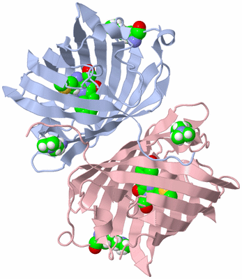 Image Biological Unit 9