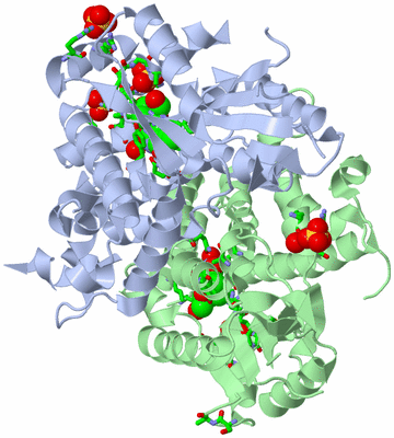 Image Asym./Biol. Unit - sites