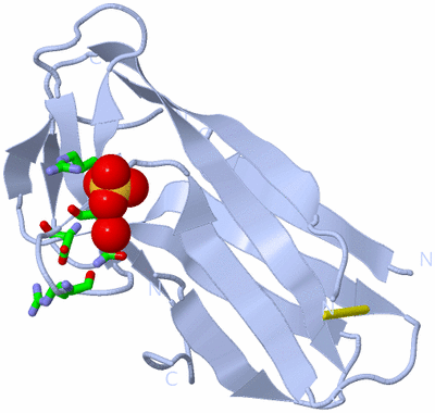 Image Biol. Unit 1 - sites