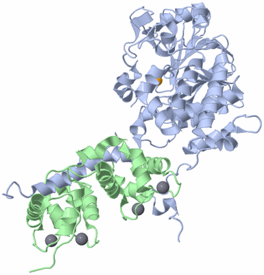 Image Asym./Biol. Unit