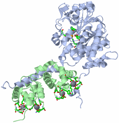 Image Asym./Biol. Unit - sites