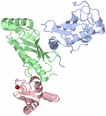 Image Biological Unit 3