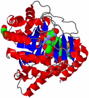 Image Asym./Biol. Unit