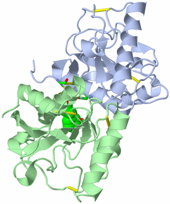 Image Biol. Unit 1 - sites