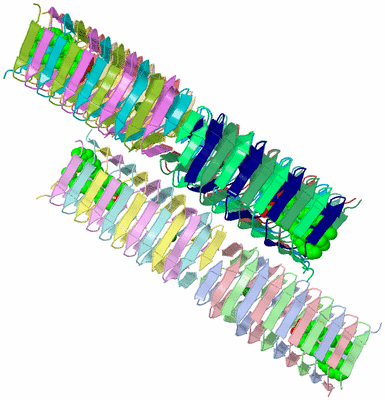 Image Asymmetric Unit